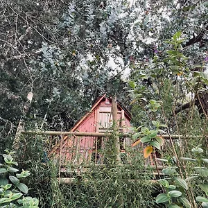 Santa Casa - El Chalet Medellín